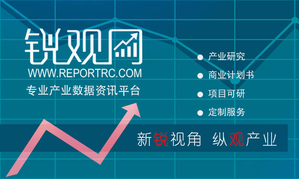 2023-2028年中国IT服务行业发展前景与投资规划分析报告